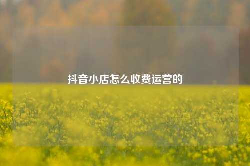 抖音小店怎么收费运营的