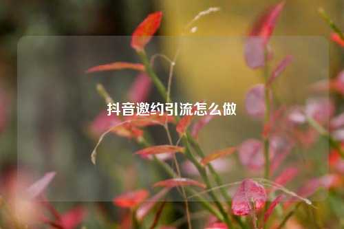 抖音邀约引流怎么做