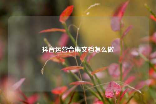 抖音运营合集文档怎么做
