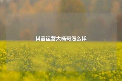 抖音运营大杨哥怎么样