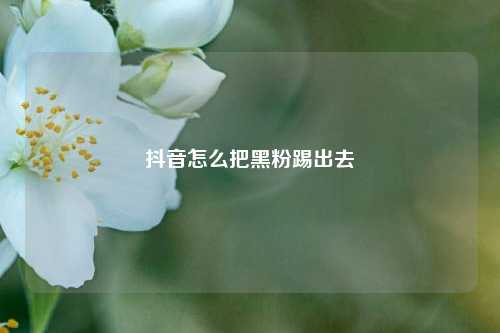 抖音怎么把黑粉踢出去