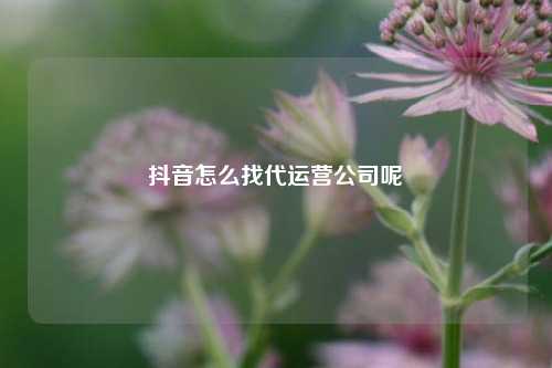抖音怎么找代运营公司呢
