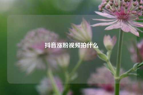 抖音涨粉视频拍什么