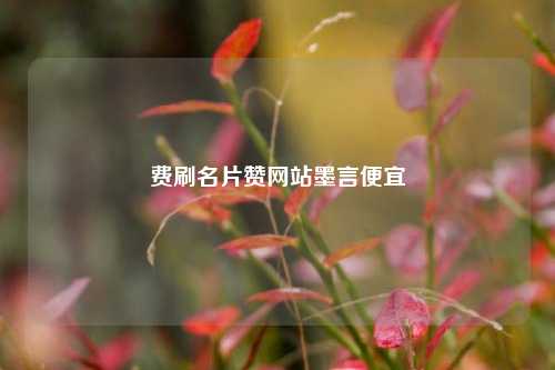 费刷名片赞网站墨言便宜