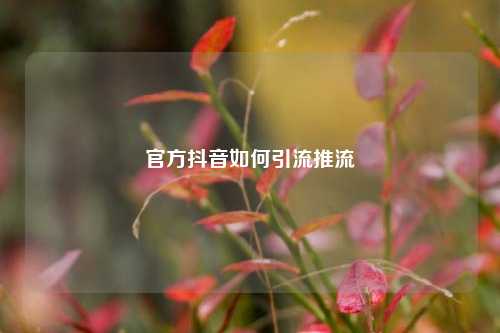 官方抖音如何引流推流