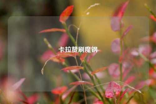 卡拉赞刷魔钢