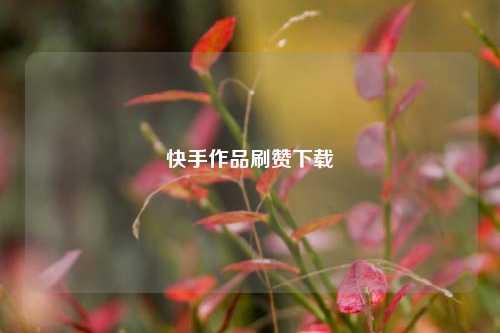 快手作品刷赞下载