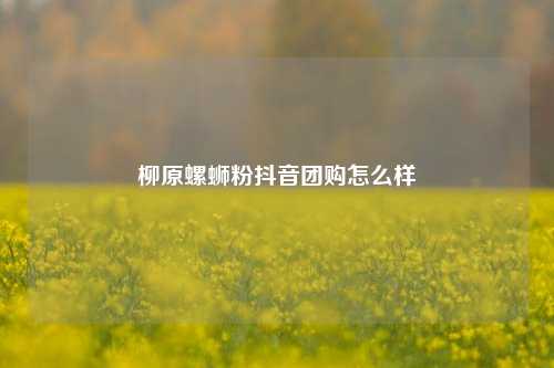 柳原螺蛳粉抖音团购怎么样