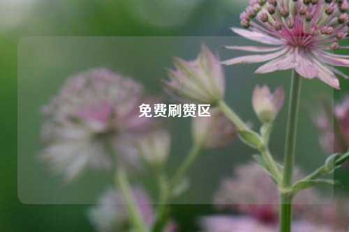 免费刷赞区
