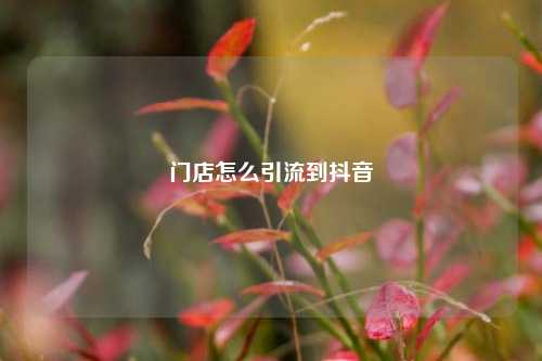 门店怎么引流到抖音