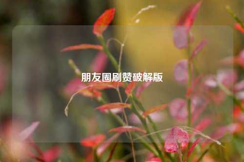 朋友圈刷赞破解版