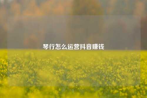 琴行怎么运营抖音赚钱