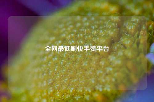 全网最低刷快手赞平台