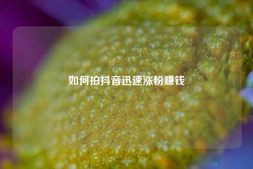 如何拍抖音迅速涨粉赚钱