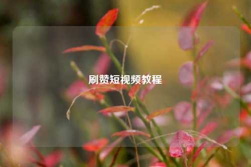 刷赞短视频教程