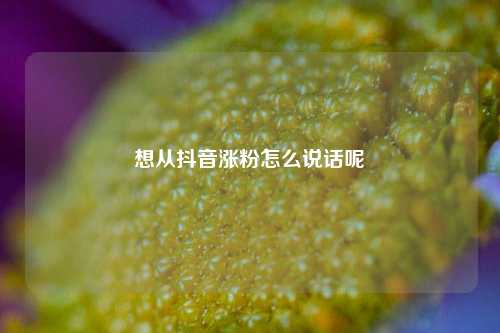想从抖音涨粉怎么说话呢